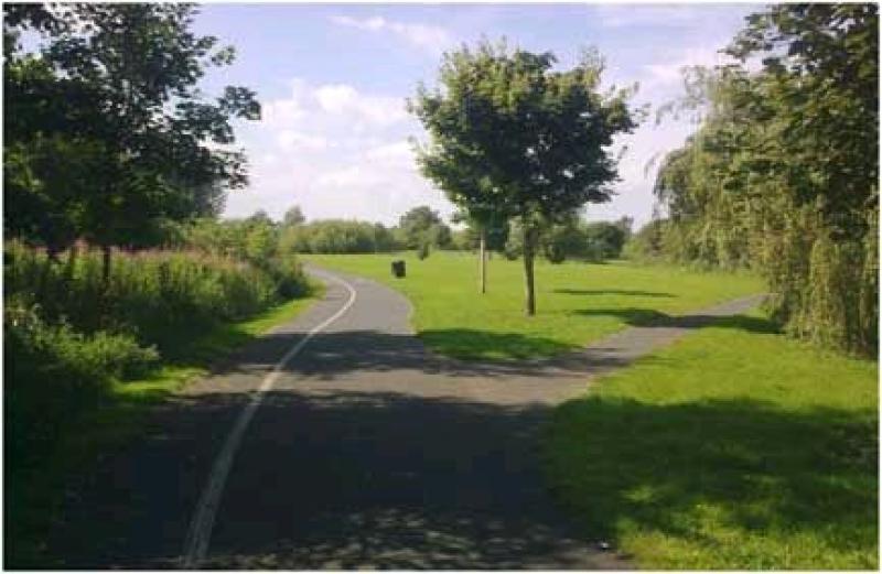 New laws on the way for Laois parks, where cycling,  playing music, tree climbing, ghetto blasters and bad language are all subject to fines of up to €1,270