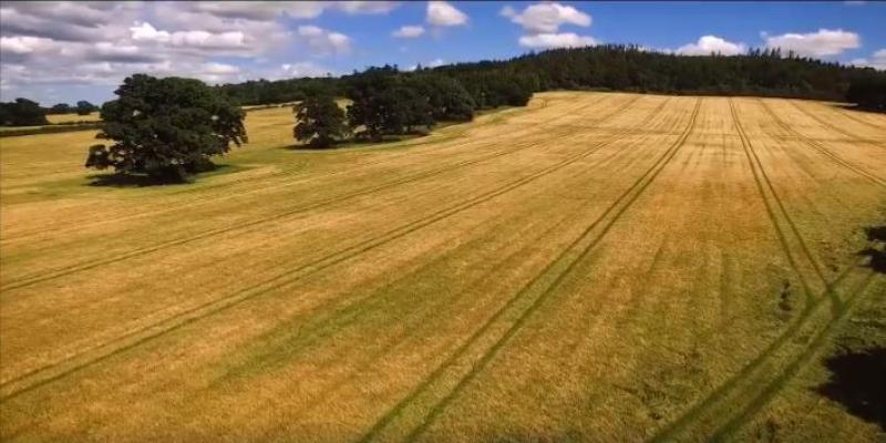 WATCH: Fascinating video showcasing 378 year-old local farm open for Laois Heritage Week