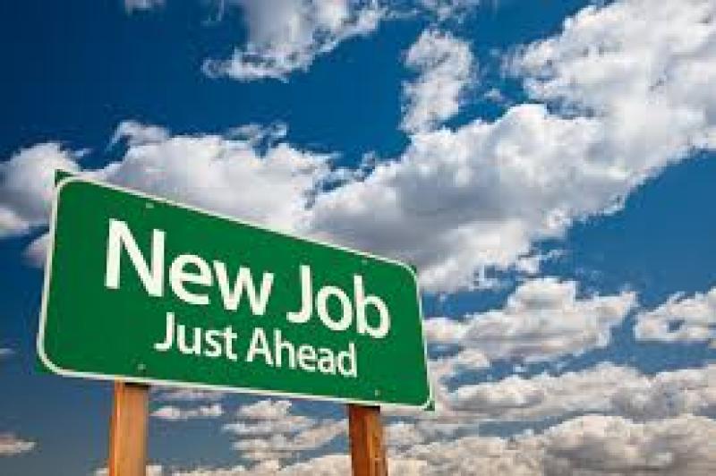 Job Opportunity: Farrowing Operative sought for Pig Unit 