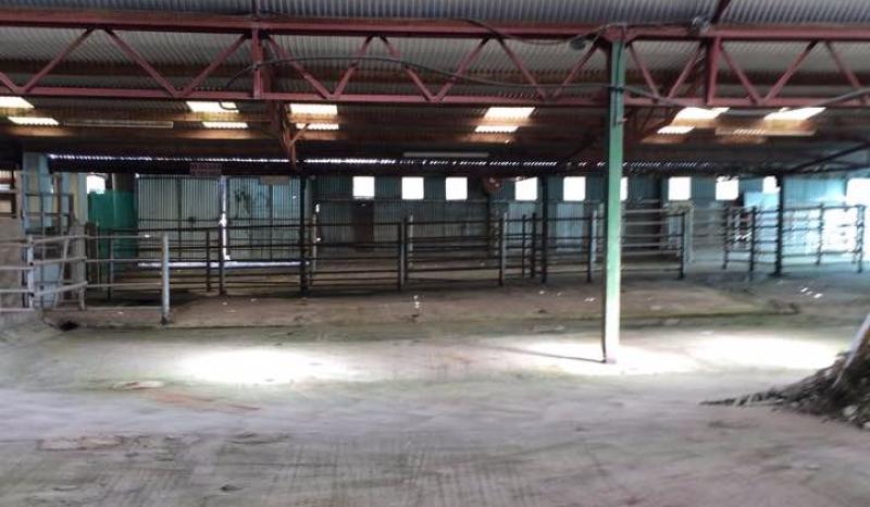 New car boot sale/farmers market coming to Laois