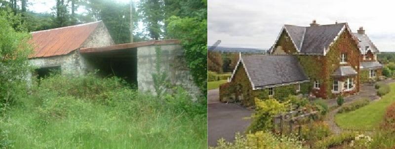 From €55k to €595k - what your money will buy in Laois