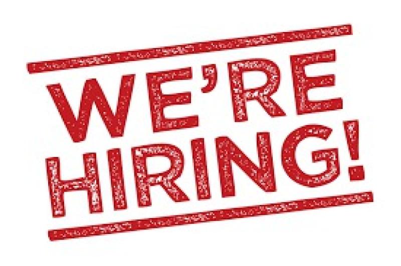 Jobs: Advertising Sales Executive sought for the Leinster Express 