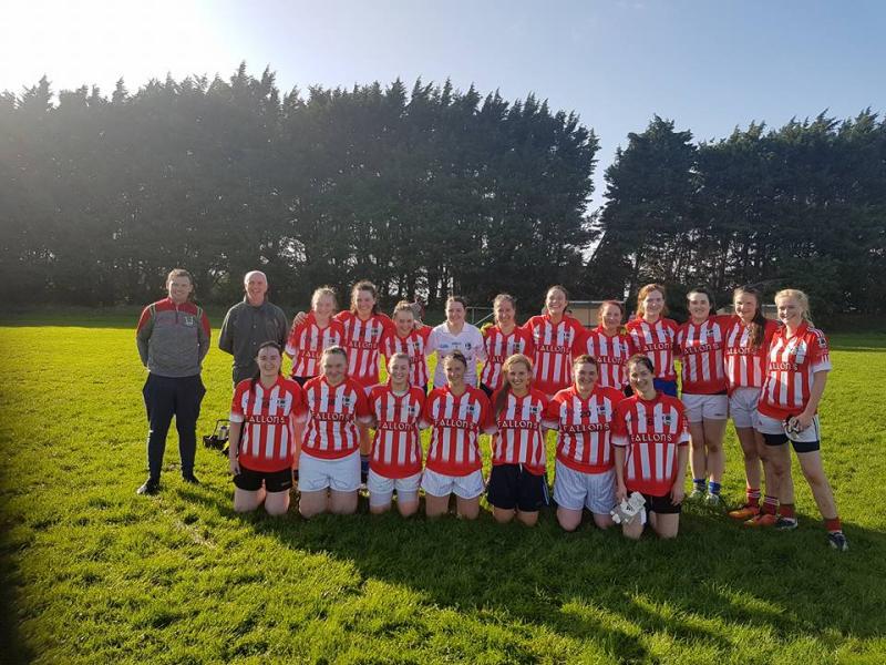 There will be a GAA match with a twist in Laois this Sunday