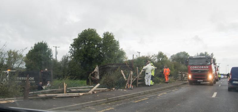 Principal of The Rock National School in Laois speaks in wake of yesterday's cattle truck crash