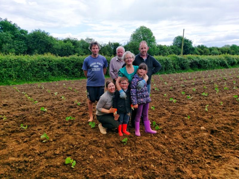 Pick and carve your own pumpkin for Halloween on this charming Laois farm
