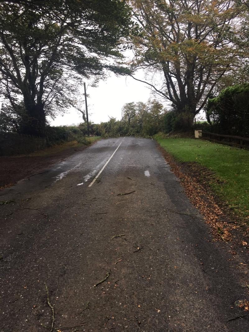 Tree down on the Ballacolla Rathdowney road