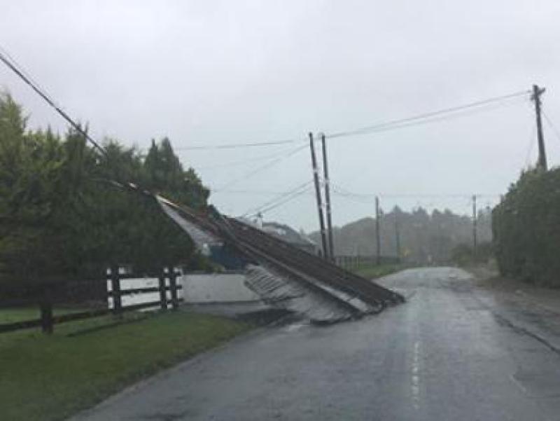 Roof of a shed on the Ballyfin road 