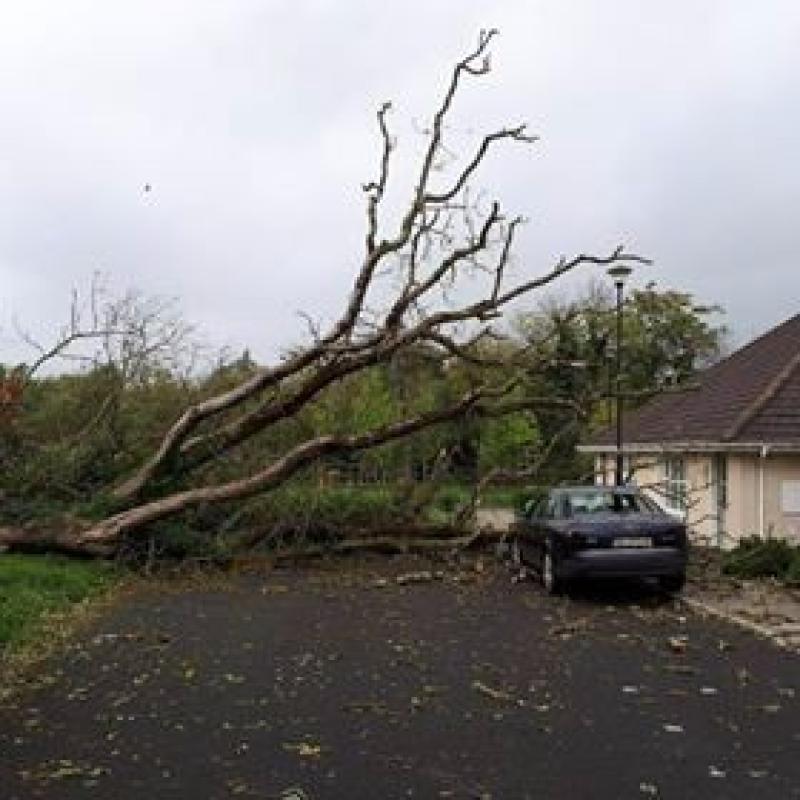 Hurricane Ophelia