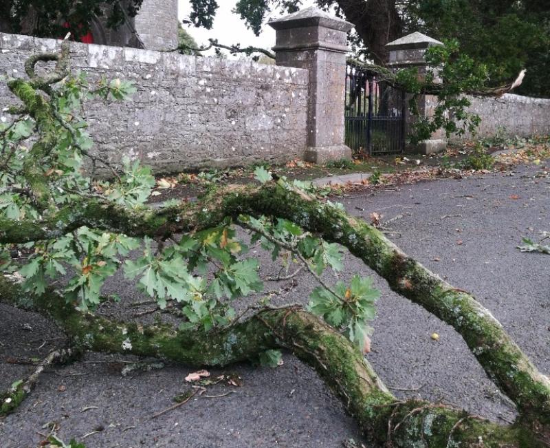 Ophelia Christmas Timahoe