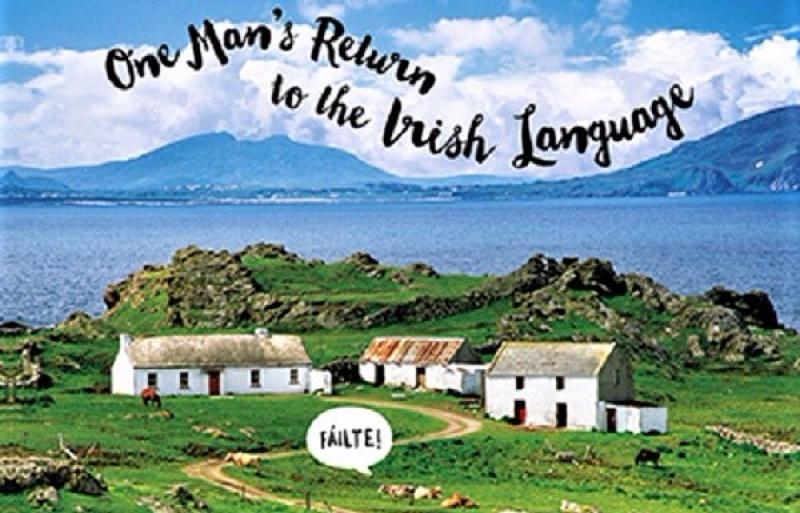 portlaoise irish language gaeilge