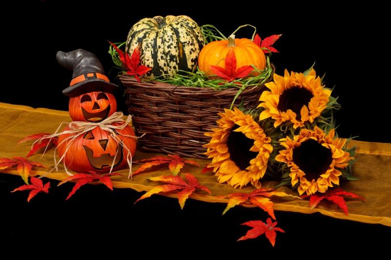 ALONE call on Longford folk to check on older neighbours this Halloween