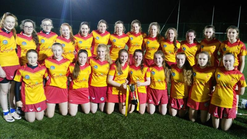 GAA - The Harps claim Laois U-16 Shield title over Portlaoise