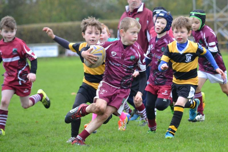 Portarlington RFC minis showcase club's youth development in blitz with Newbridge