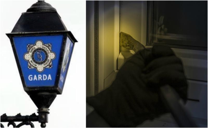 OPINION: Rural counties like Offaly are a haven for roving criminals 