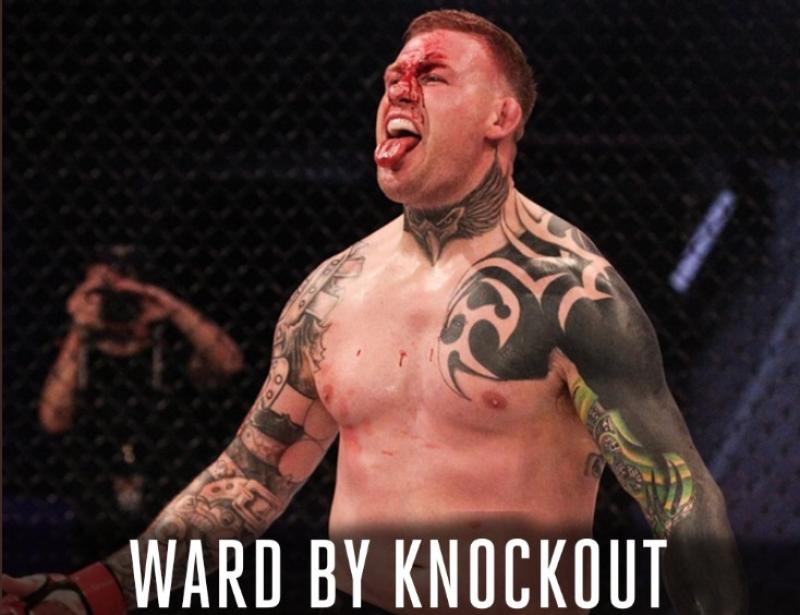 Conor McGregor conctroversial celebration afer win by Laois MMA fighter Charlie Ward