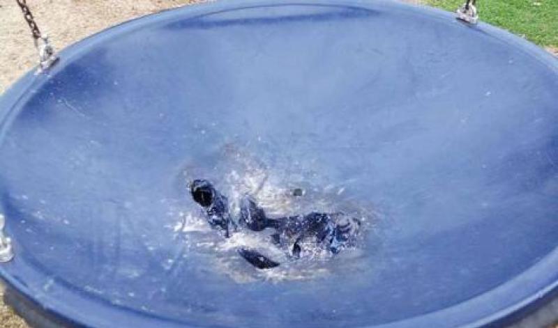 'It just takes a few idiots to destroy it for everybody' Laois Cllr wants CCTV in public park