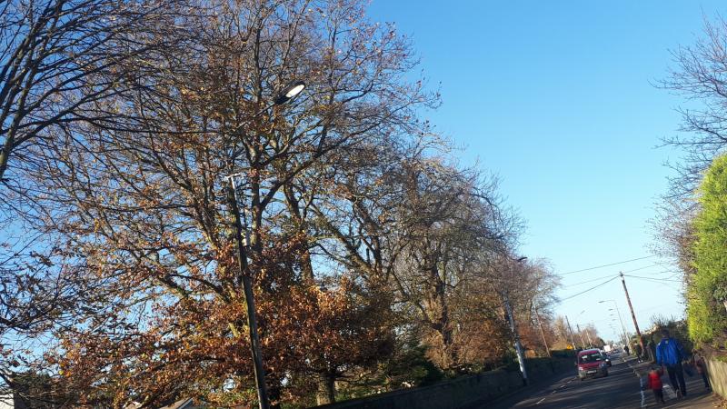 Streetlights are shining 24 hours a day on this Portlaoise road