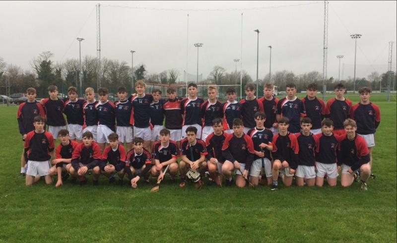 GAA - Mountrath CS miss out on Leinster glory to Colaiste Eoin