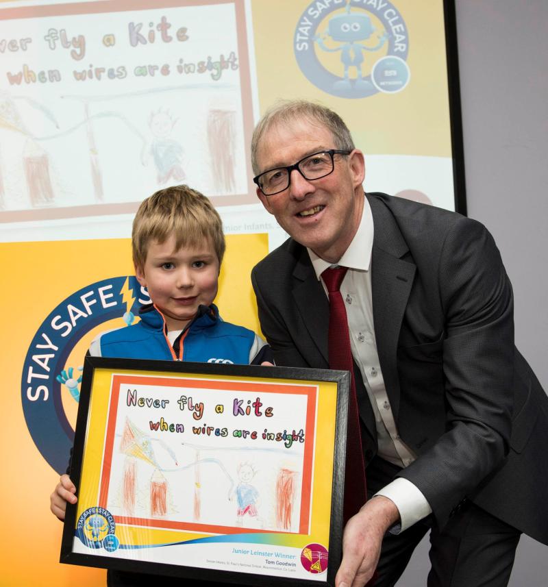 Leinster art award for this young Mountmellick schoolboy 