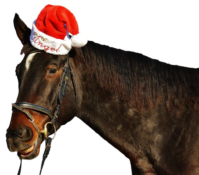 LAOIS LINGO - Your guide to small talk with your family this Christmas