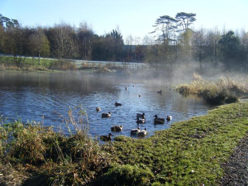 Laois County Council to build €120k riverside cycle path to Portlaoise schools