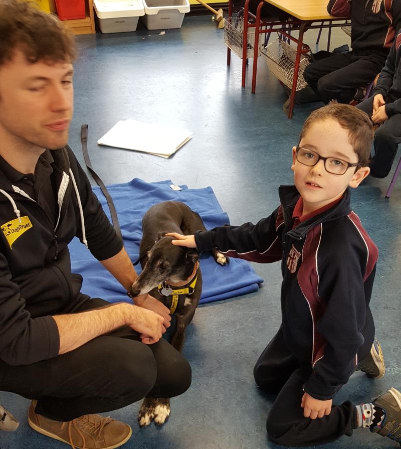 Dogs Trust come to visit Scoil Phadraig Naofa in Mountmellick