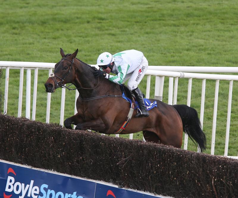 Laois-owned horse Our Duke dies of 'massive heart attack' after morning workout