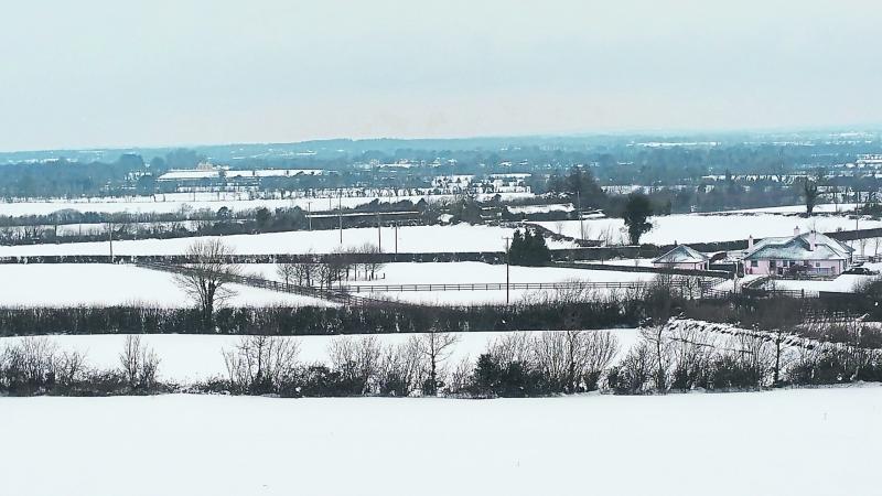 Laois firemen come to the rescue to deliver Meals on Wheels to snowbound elderly 