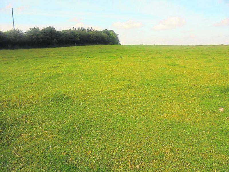 Laois land prices jump the highest in the country 