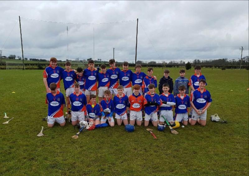 Laois hurling F&eacute;ile glory for Castletown-Slieve Bloom and Ballinakill