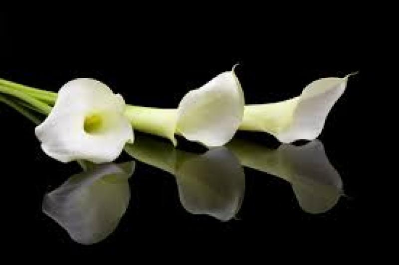 Deaths in Laois - April 9, 2018