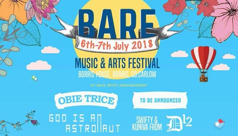 Bare in the Woods music and arts festival 2018