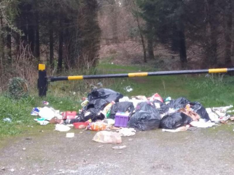 Wide open woodland entrances in Laois enable illegal dumping says councillor