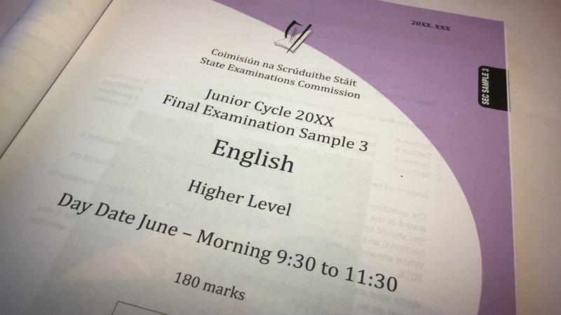 Teen sues over refusal to give her assistance during junior cert exams