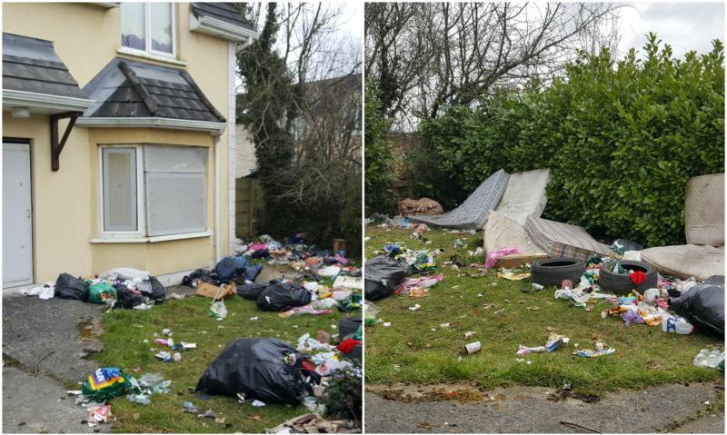 Laois landlord 'will go in with a digger' to knock down vacant house drawing rats to his property