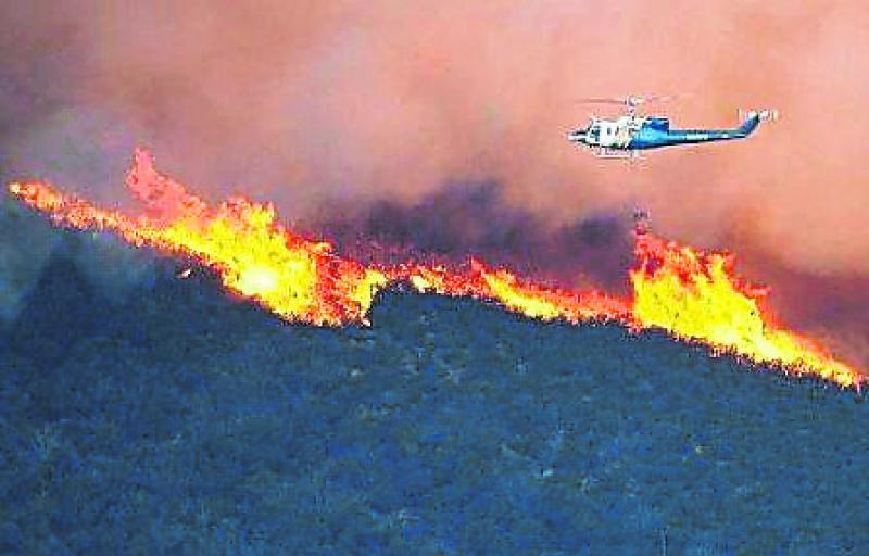 'High risk' forest fire warning issued amid warm weather forecast