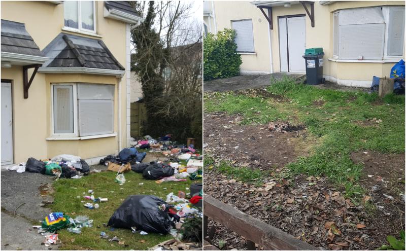 PICTURES: Laois residents take matters into their own hands and clean up shocking dumping