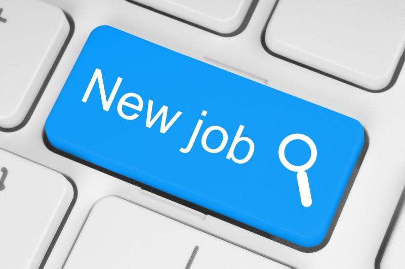 Laois Jobs round up: Who's hiring in the county this week?