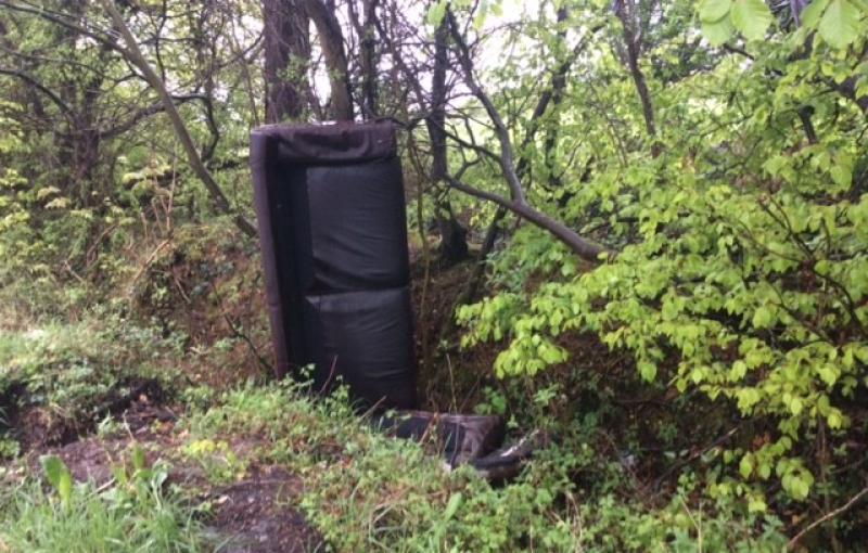 Illegal dumping 'epidemic' in Laois as couch dumped in ditch Laois Live