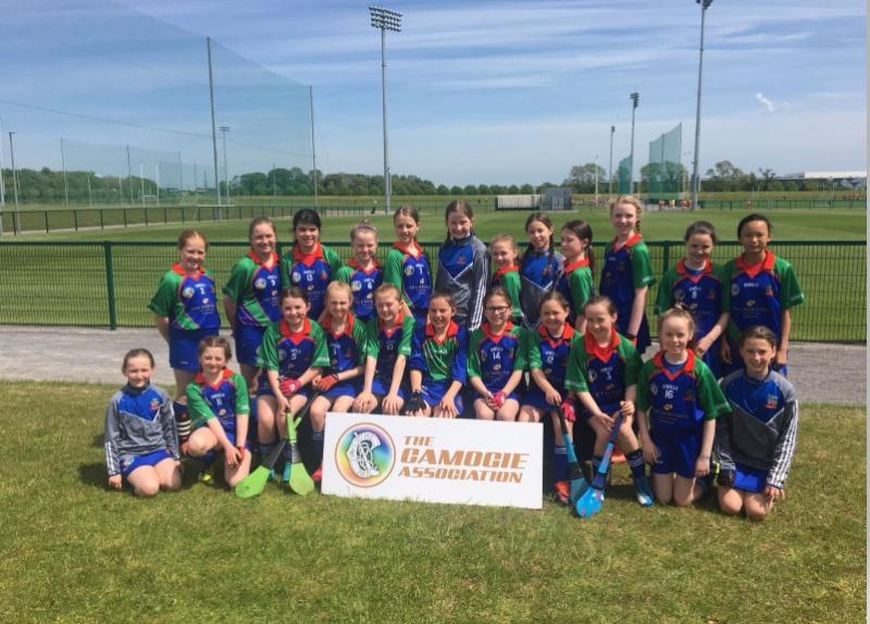 Banríon Gaels represent Laois with pride at Leinster Camogie blitz