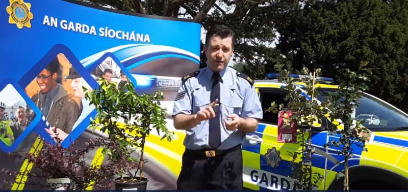 WATCH: Gardai issue burglary warning as €1.8m worth of property stolen from gardens in summer