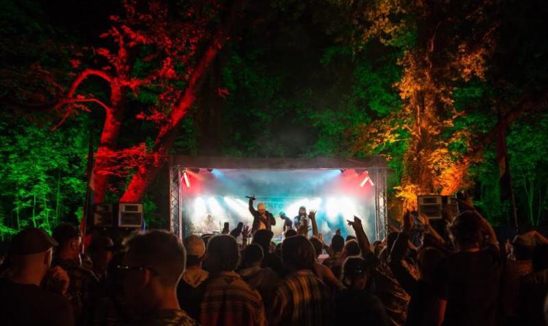 Over 50 acts announced for Trenchtown stage at Electric Picnic 2018