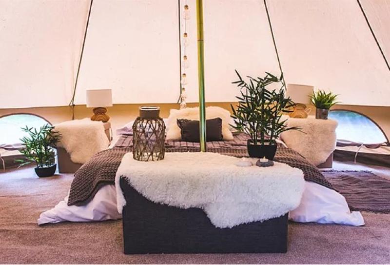 Actor seeks permission for new Laois glampsite