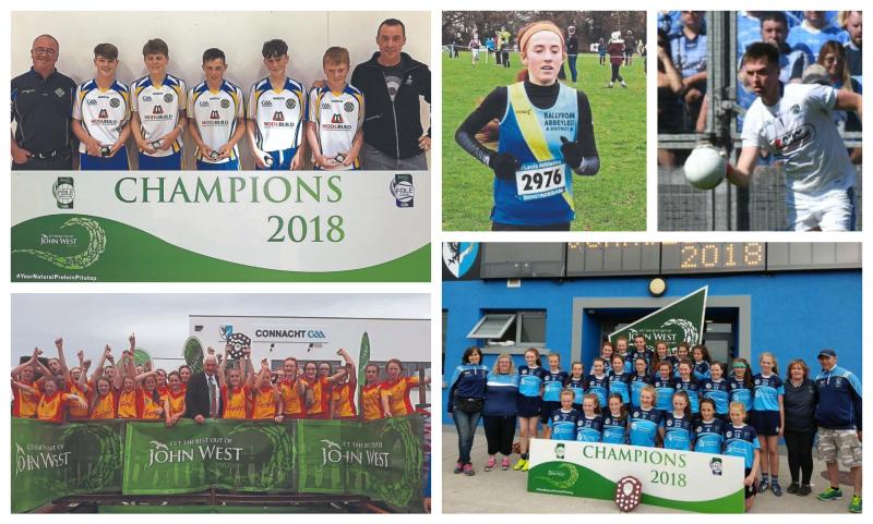 VOTE NOW - Downey's Auto Stop/Leinster Express Sports Star of the Month for June