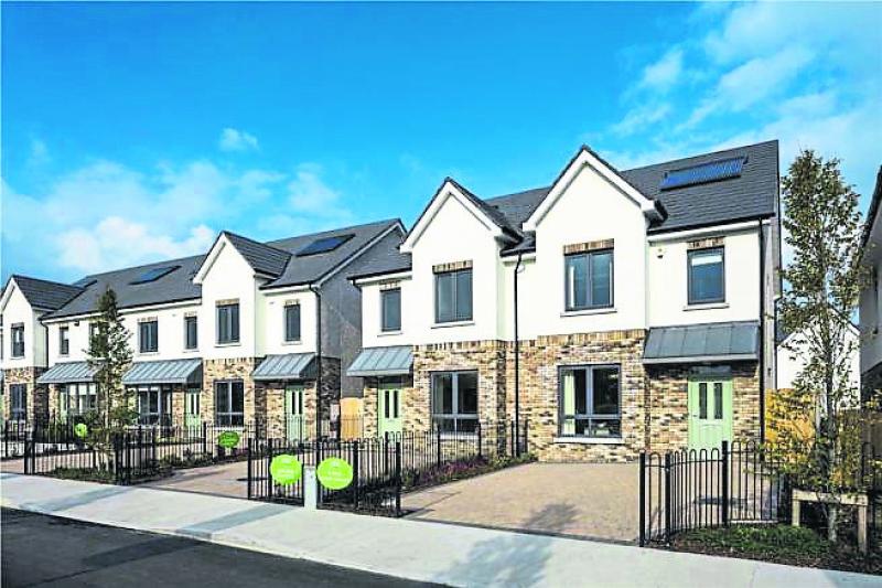 Government should build more homes, says survey 