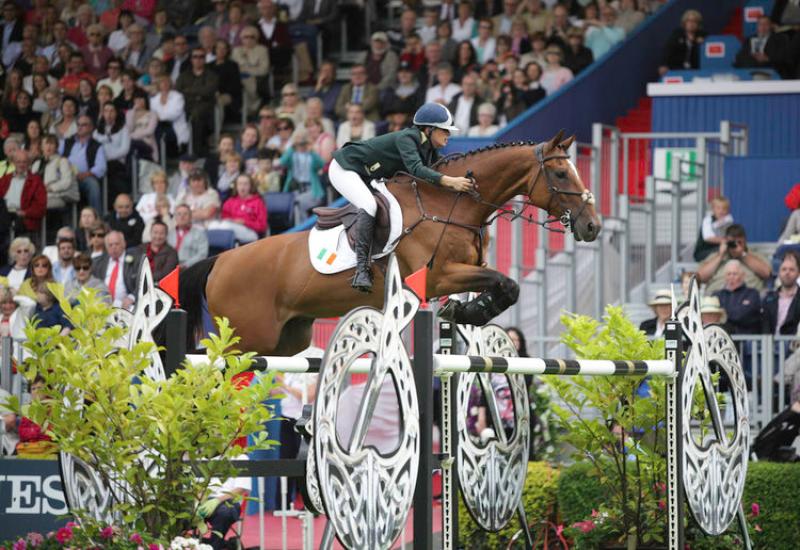 High Court case withdrawn over Dublin Horse Show