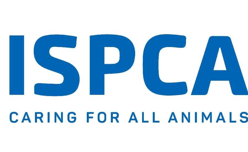 job ispca