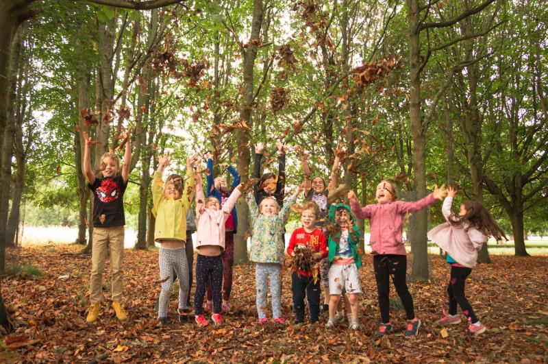 New school woodlands among Laois biodiversity projects awarded €63,000