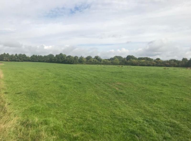 45-acres for sale near Edenderry