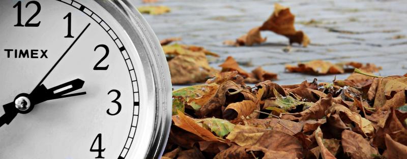 POLL:  Daylight Savings Time might be abolished, have your say